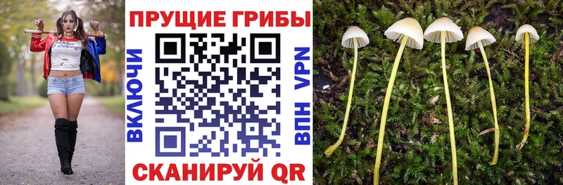 Галлюциногенные грибы прущие грибы  Костерёво 